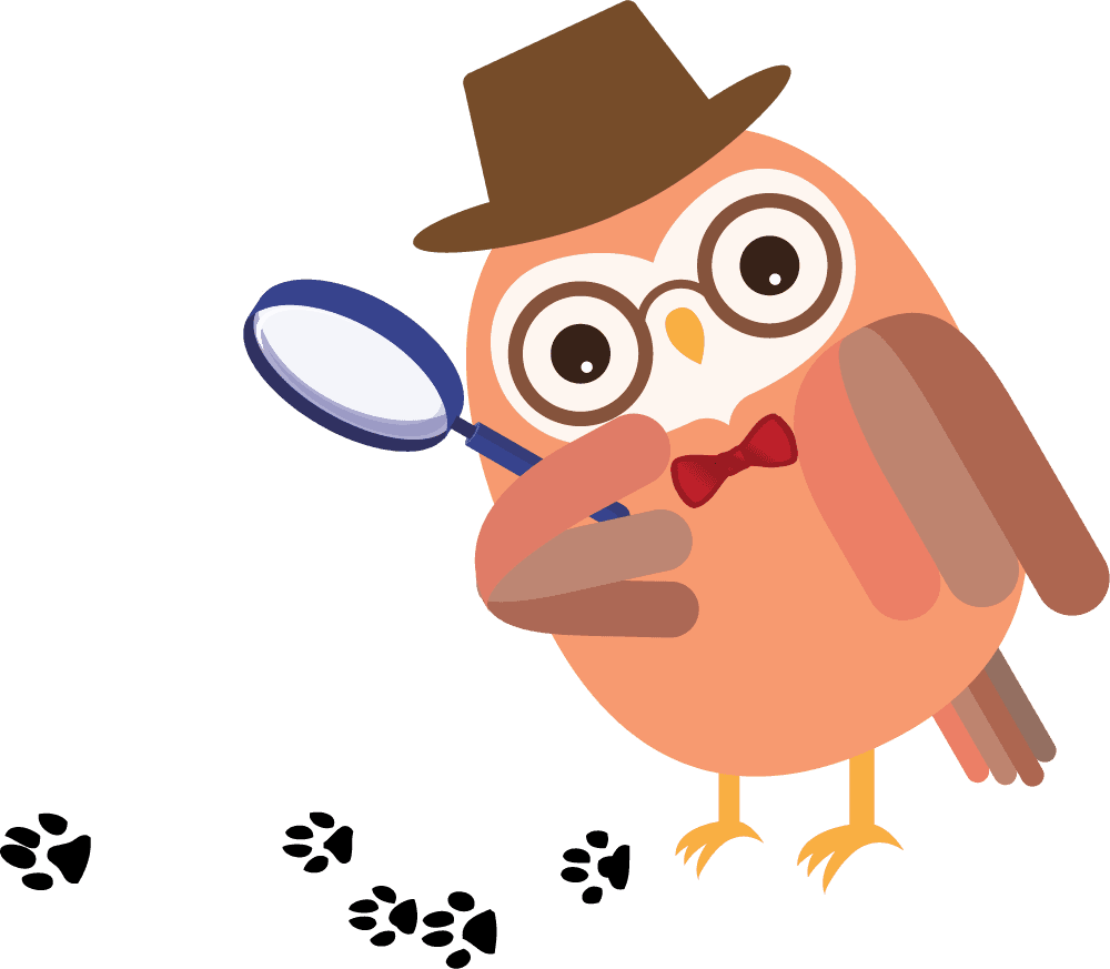 Detective owl