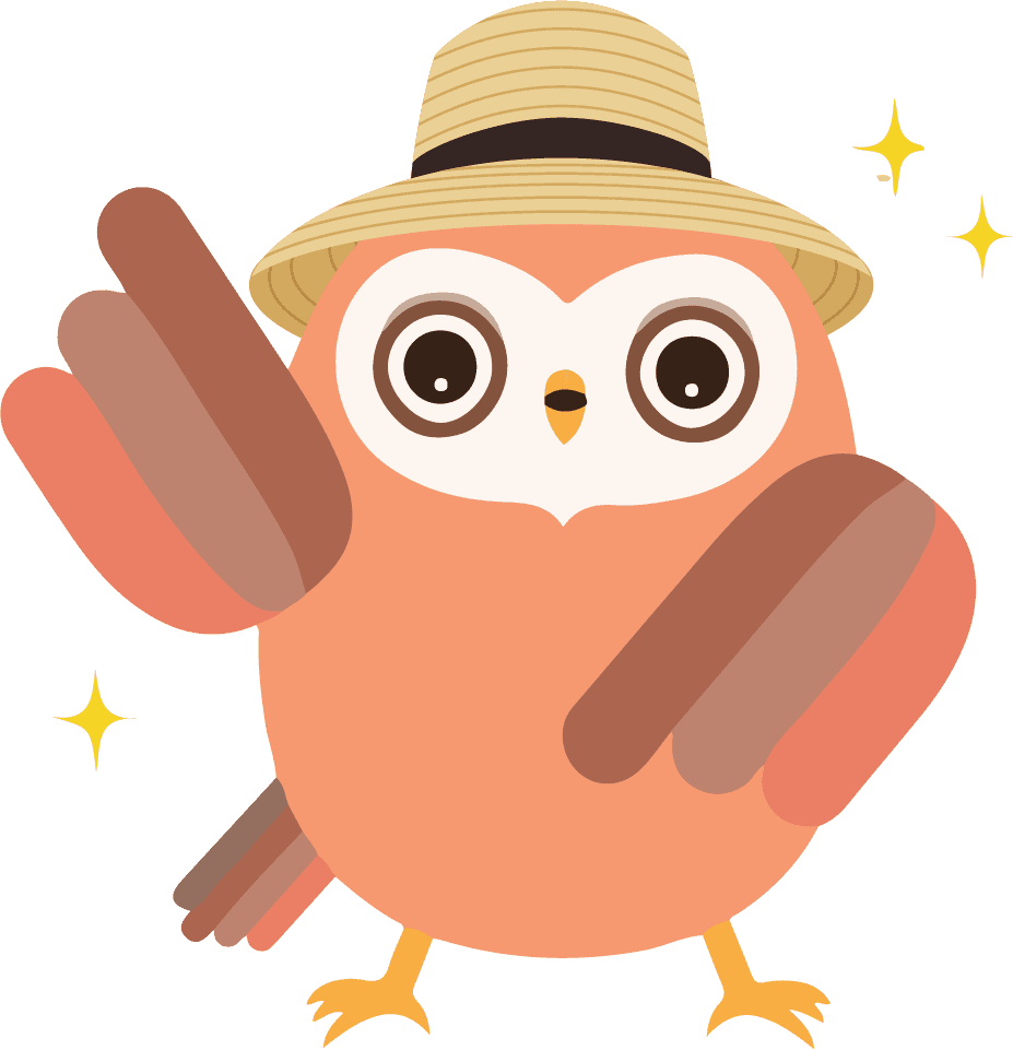 Chinese as a Foreign Language owl