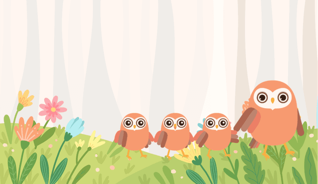 Owl with baby owls — we can help find the right class