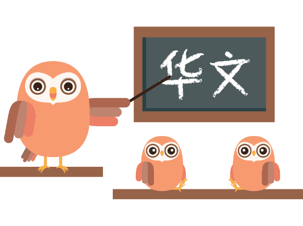 Mr Chew Wee Kai, Curriculum Director